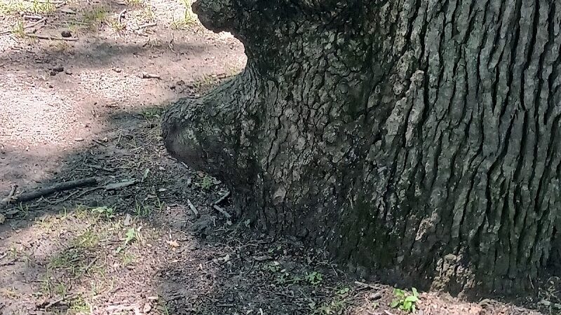 Charles W. Lindewald Park - La Porte, IN