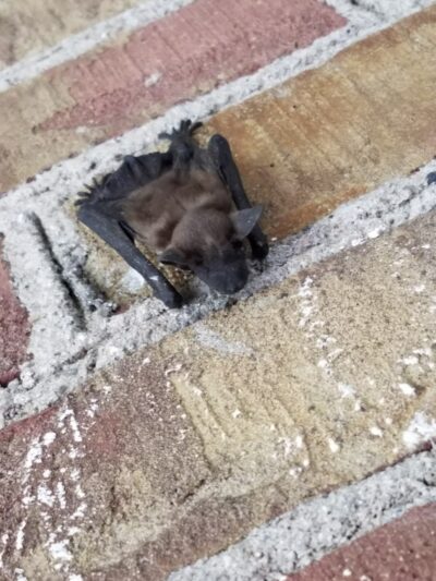 Charles W. Lindewald Park - La Porte, IN