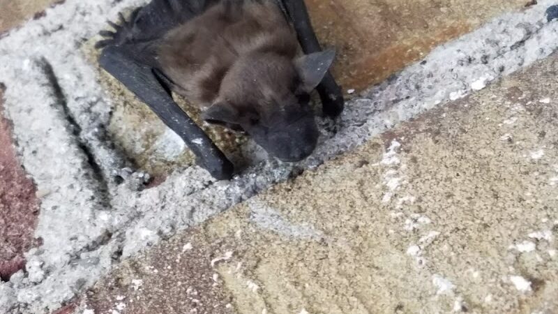 Charles W. Lindewald Park - La Porte, IN