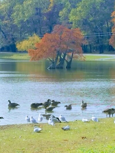 Fox Park, La Porte - La Porte, IN