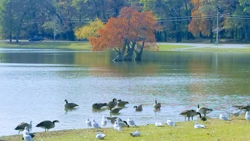 Fox Park, La Porte - La Porte, IN