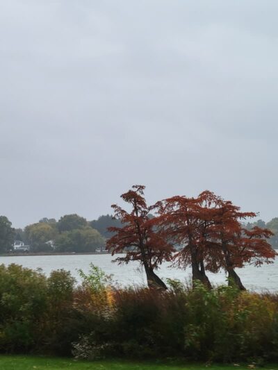 Fox Park, La Porte - La Porte, IN