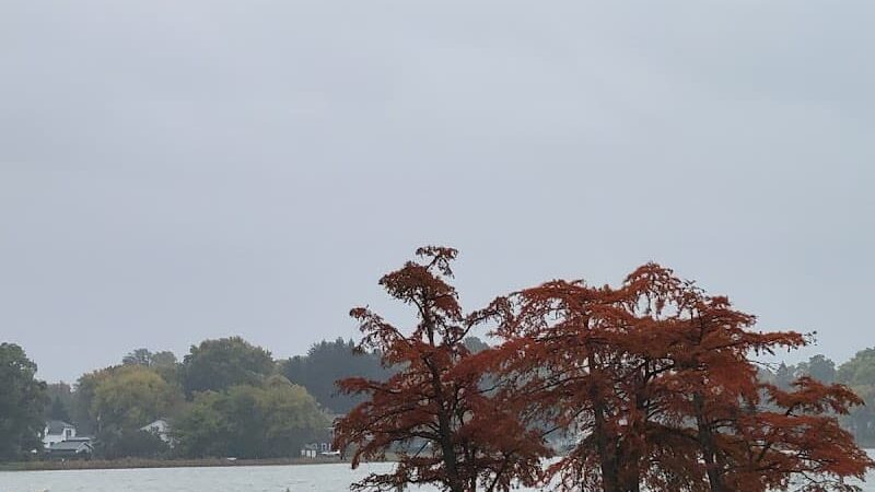 Fox Park, La Porte - La Porte, IN