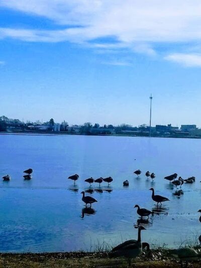 Fox Park, La Porte - La Porte, IN