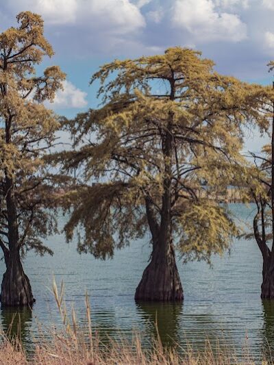 Fox Park, La Porte - La Porte, IN