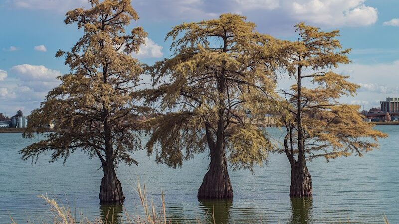Fox Park, La Porte - La Porte, IN
