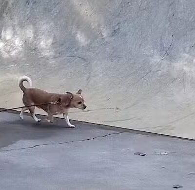 Fox Park, La Porte - La Porte, IN