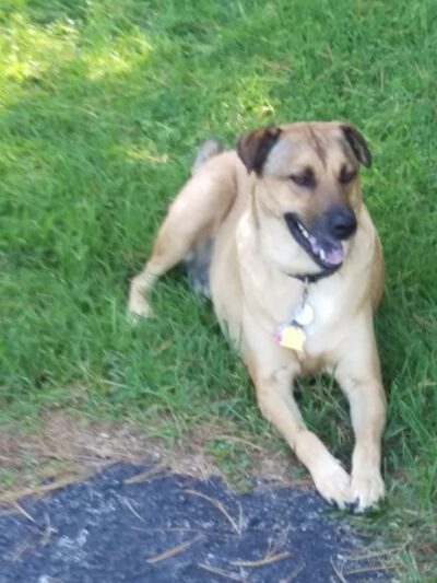 Kesling Park - La Porte, IN