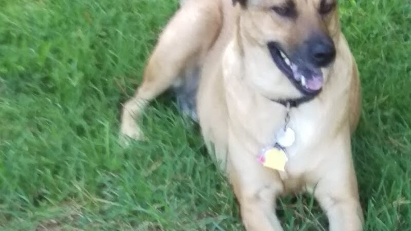 Kesling Park - La Porte, IN