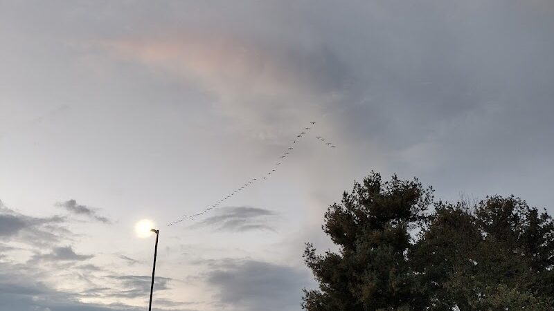 Kesling Park Walking Trail - La Porte, IN