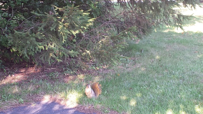 Kesling Park Walking Trail - La Porte, IN