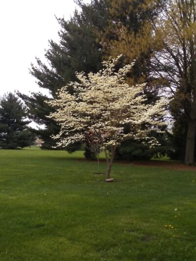 Kesling Park Walking Trail - La Porte, IN