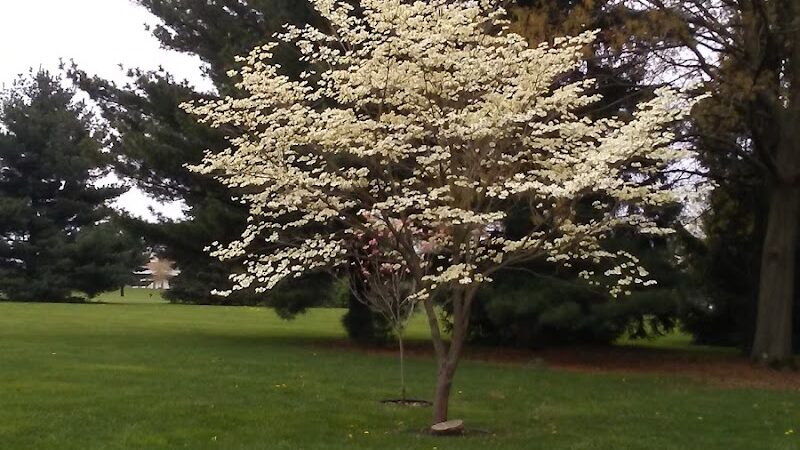 Kesling Park Walking Trail - La Porte, IN