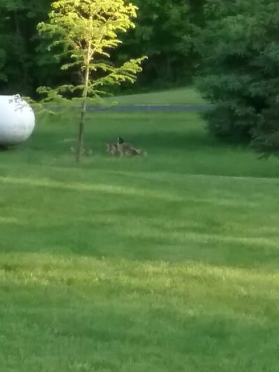 LaPorte County Park - La Porte, IN