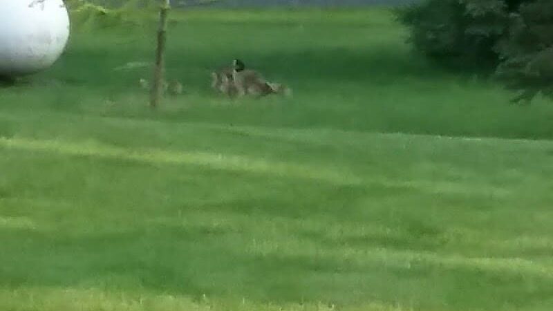 LaPorte County Park - La Porte, IN