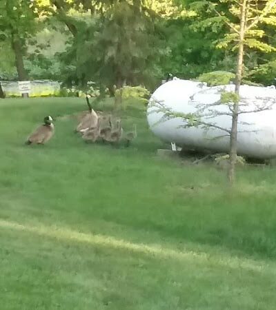 LaPorte County Park - La Porte, IN