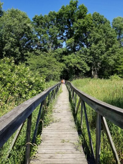 Luhr County Park - La Porte, IN