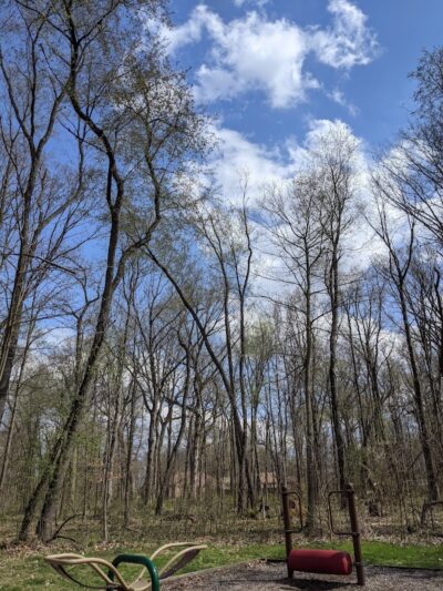 Luhr County Park - La Porte, IN