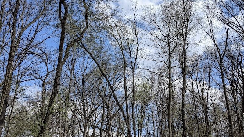 Luhr County Park - La Porte, IN