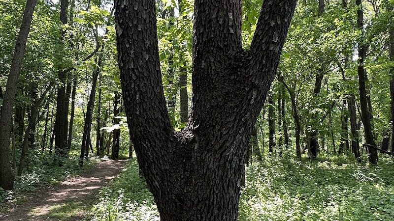 Luhr County Park - La Porte, IN
