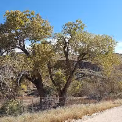 Confluence Park - La Verkin, UT