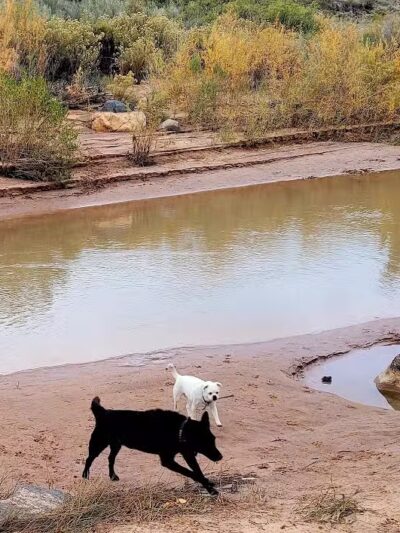 Confluence Park - La Verkin, UT
