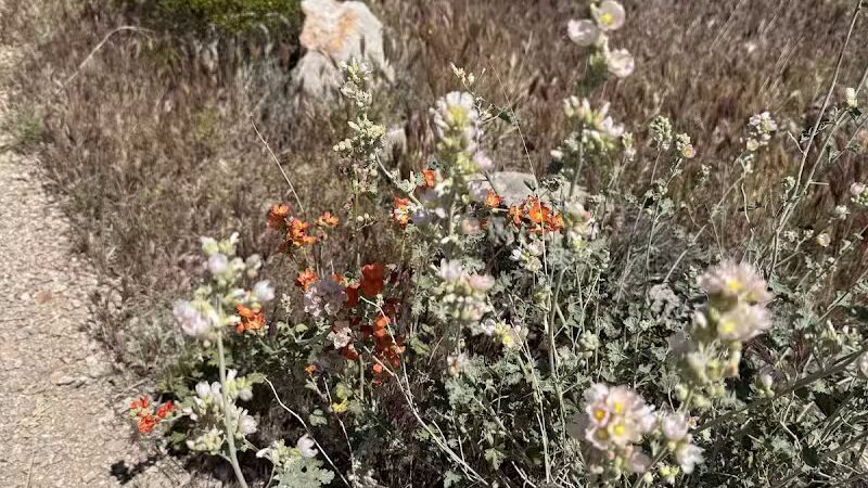 La Verkin Overlook Trailhead - La Verkin, UT
