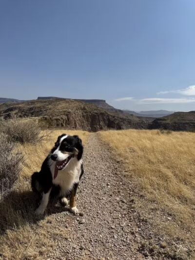 La Verkin Overlook Trailhead - La Verkin, UT