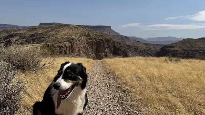 La Verkin Overlook Trailhead - La Verkin, UT