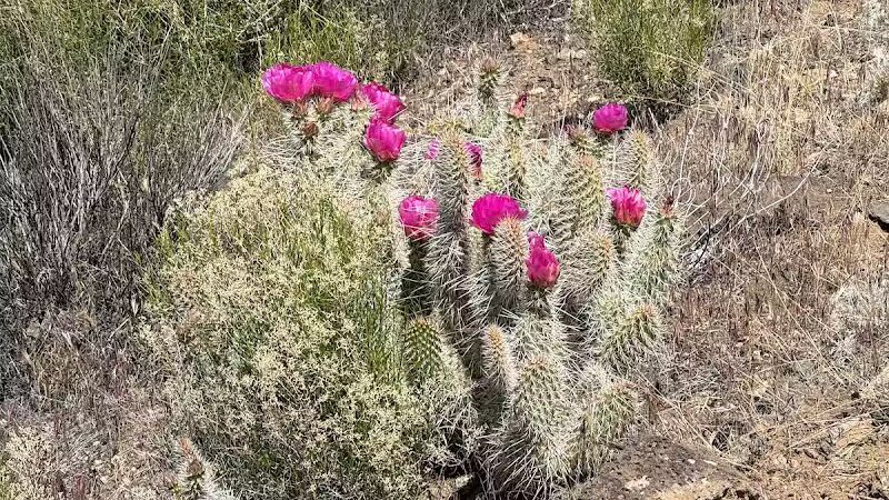 La Verkin Overlook Trailhead - La Verkin, UT