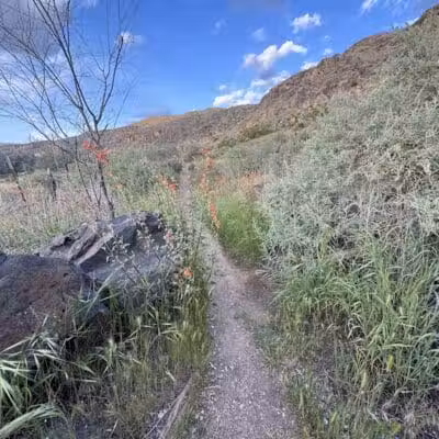 La Verkin Overlook Trailhead - La Verkin, UT
