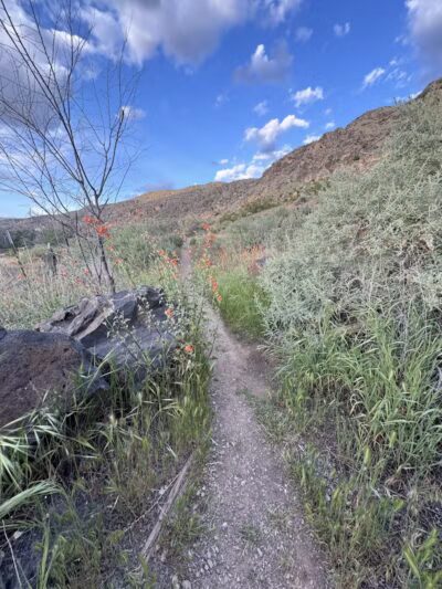 La Verkin Overlook Trailhead - La Verkin, UT