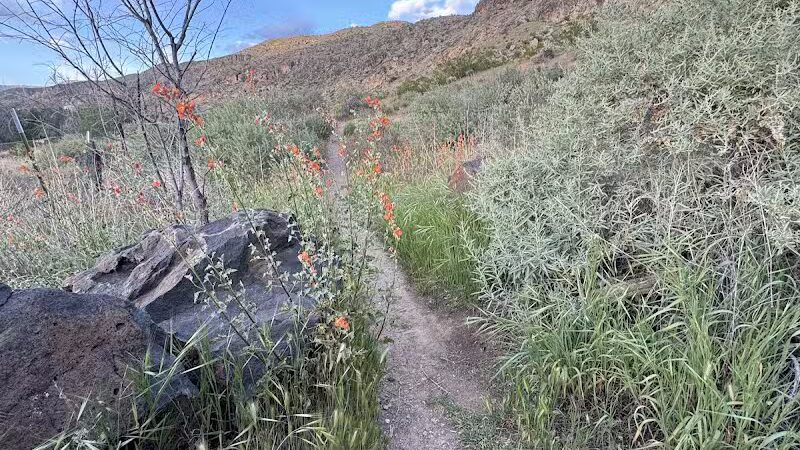 La Verkin Overlook Trailhead - La Verkin, UT