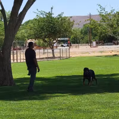 La Verkin Park - La Verkin, UT