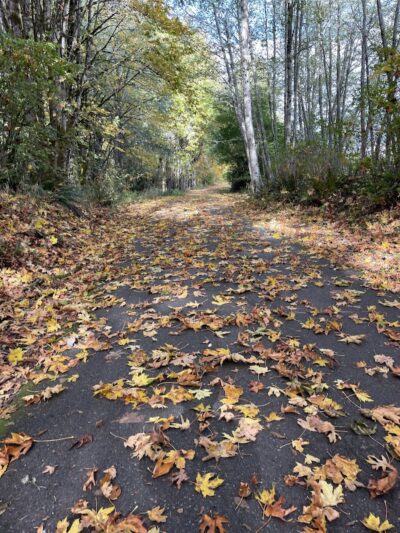 Chehalis - Western Trail Trailhead - 45th Avenue - Lacey, WA