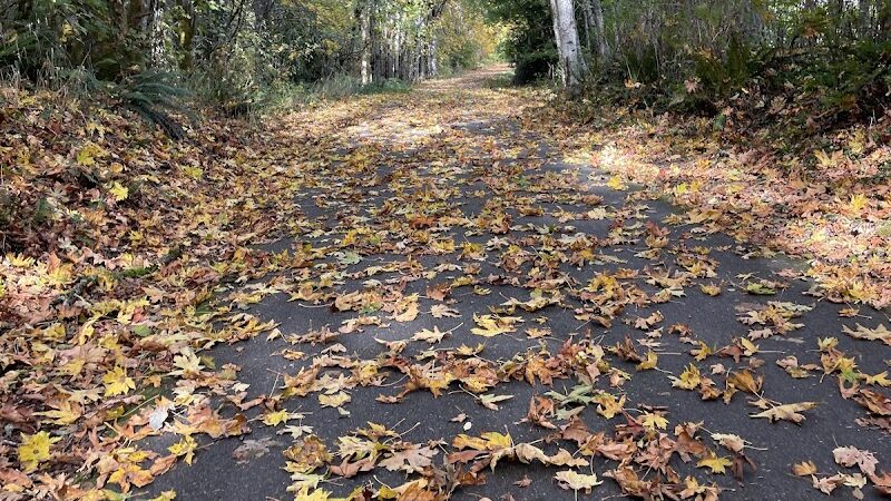 Chehalis - Western Trail Trailhead - 45th Avenue - Lacey, WA