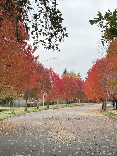 Chehalis - Western Trail Trailhead - 45th Avenue - Lacey, WA