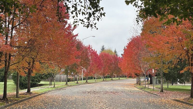 Chehalis - Western Trail Trailhead - 45th Avenue - Lacey, WA