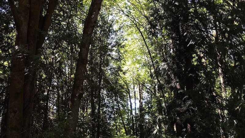 Chehalis - Western Trail Trailhead - 45th Avenue - Lacey, WA