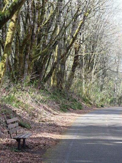 Chehalis - Western Trail Trailhead - 45th Avenue - Lacey, WA