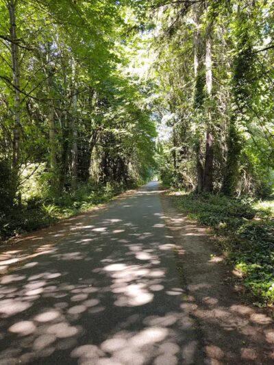 Chehalis - Western Trail Trailhead - 45th Avenue - Lacey, WA