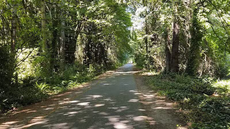 Chehalis - Western Trail Trailhead - 45th Avenue - Lacey, WA
