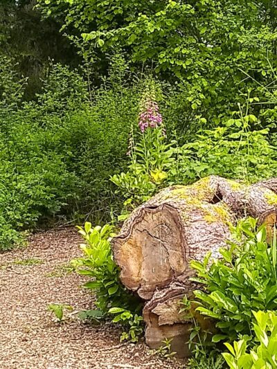 Chehalis - Western Trail Trailhead - Chambers Lake Drive - Lacey, WA