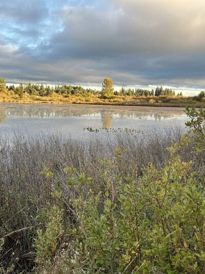 Chehalis - Western Trail Trailhead - Chambers Lake Drive - Lacey, WA