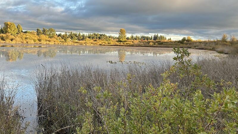 Chehalis - Western Trail Trailhead - Chambers Lake Drive - Lacey, WA