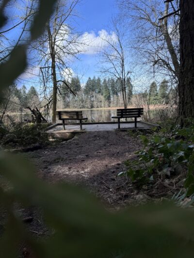 Chehalis - Western Trail Trailhead - Roxanna Loop - Lacey, WA