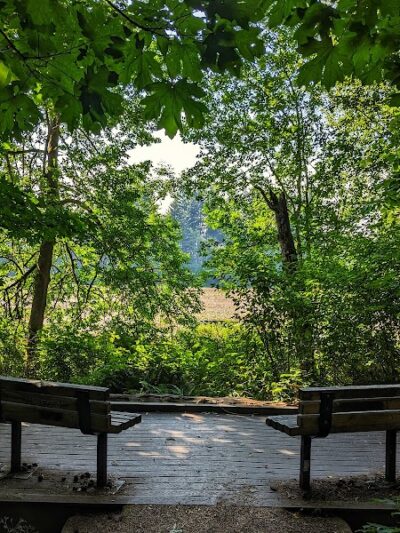 Chehalis - Western Trail Trailhead - Roxanna Loop - Lacey, WA