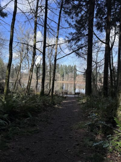 Chehalis - Western Trail Trailhead - Roxanna Loop - Lacey, WA
