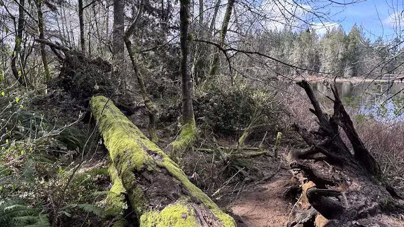 Chehalis - Western Trail Trailhead - Roxanna Loop - Lacey, WA