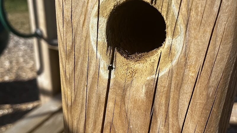 Gateway Park - Lacey, WA